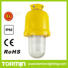 Explosion Proof Platform Light as New Products on China Market